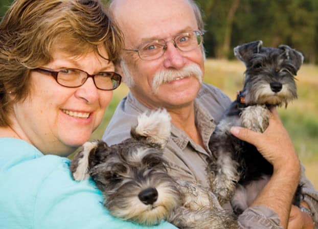 Miniature Schnauzer Dog Breed Info